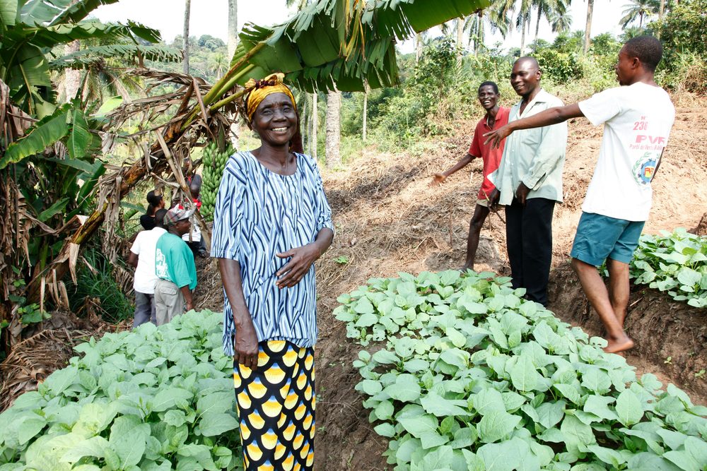 Coopérative agricole communautaire dans la province du Bandundu, RD Congo